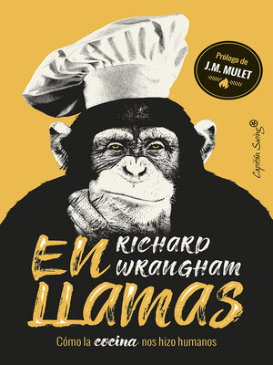 cover image of En llamas